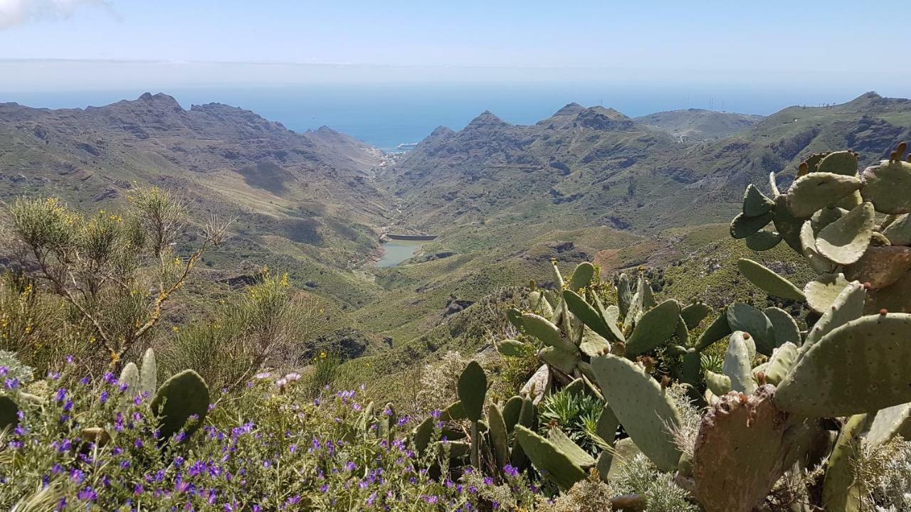 La Casita De Omar En El Corazon De Anaga Y La Laguna Las Mercedes المظهر الخارجي الصورة